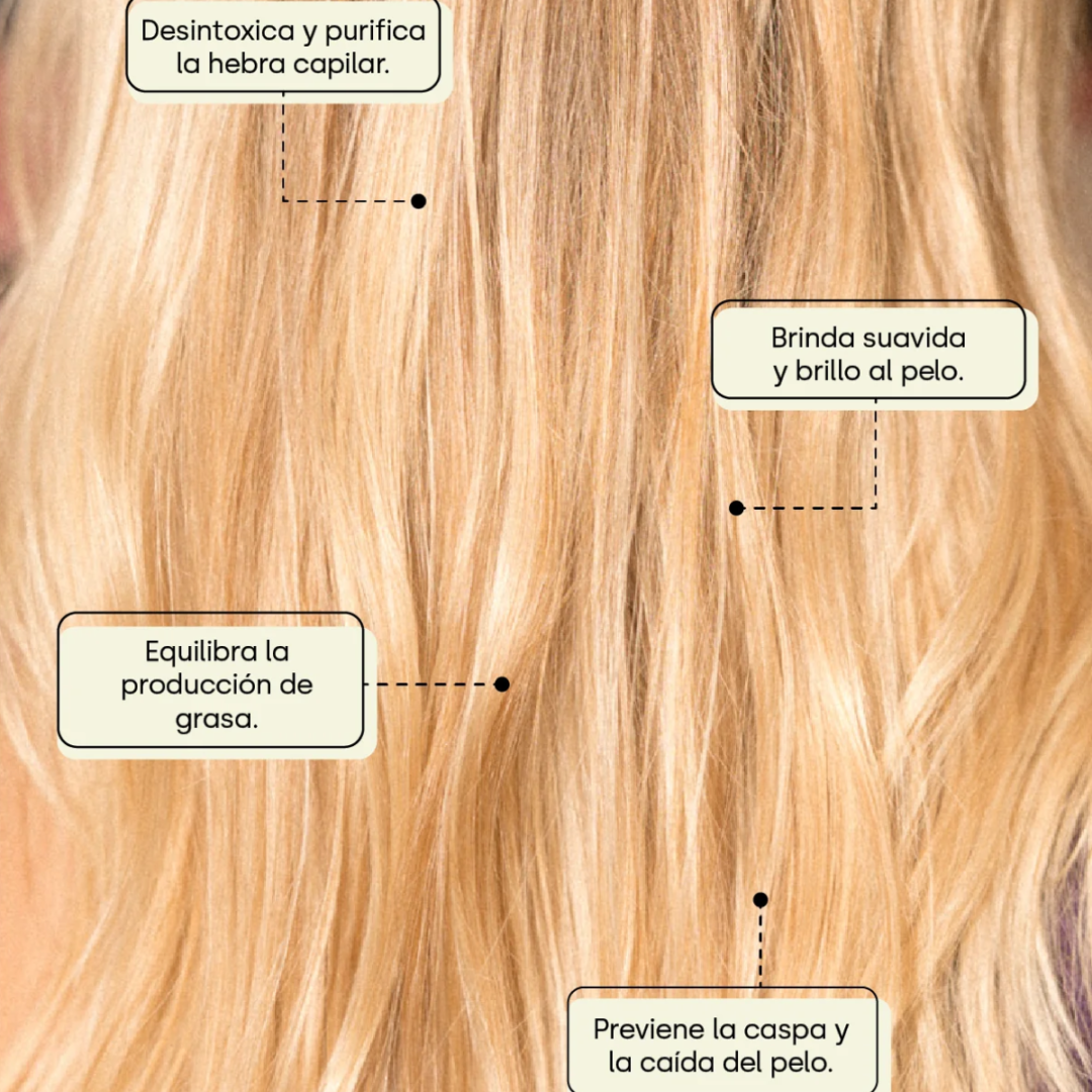 ELE | Shampoo Purificante Detox | Alimentos Sostenibles